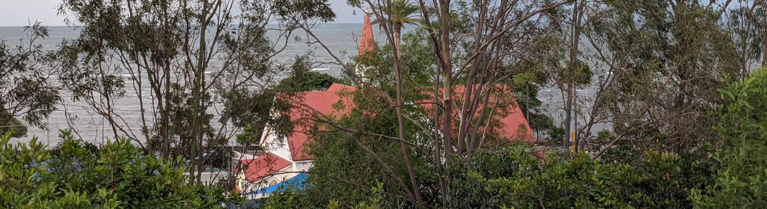 Roof of old Baptist church at Sandgate seen through the trees from the top of the cliff.